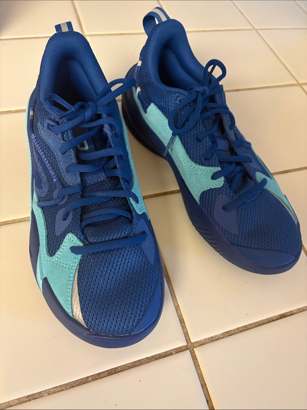 Puma Kids Blue and Aqua Low-Top Sneakers
